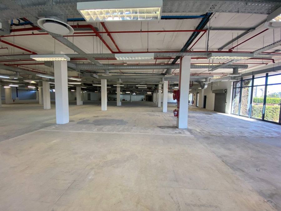 To Let commercial Property for Rent in Observatory Western Cape